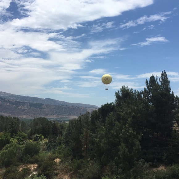 Meet your Posher, Melody - Picture 1 of 1